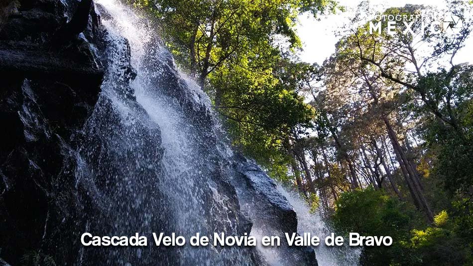 Vista de perfil de una cascada de agua blanca que cae con fuerza deslizándose sobre una colosal pared de rocas negras rodeada de un espeso bosque de pinos altos.