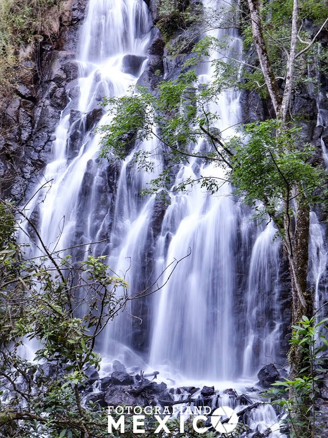 Fotografía vertical de larga exposición que muestra el agua blanca de una cascada fluyendo como hilos de seda sobre una alta pared de roca negra fracturada, enmarcada por árboles forestales verdes.
