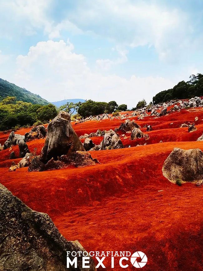 Perspectiva vertical de lomas onduladas de arena color rojo carmesí brillante, salpicadas de monolitos de piedra caliza gris bajo un cielo azul con nubes blancas.