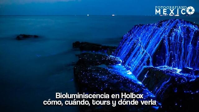 Destello de luz azul brillante por bioluminiscencia de plancton marino nocturno en las rocas de Isla Holbox