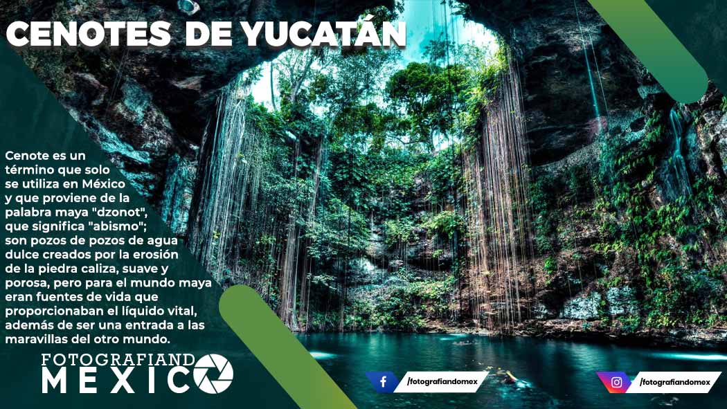 Cenotes de Yucatán: nombres, mapa, imágenes, información, historia y top 10 