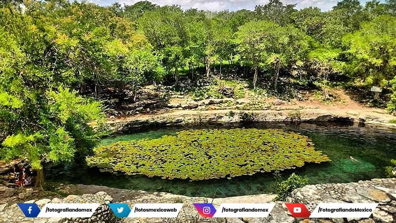 Cenote Xlacah Cenote Xlacah