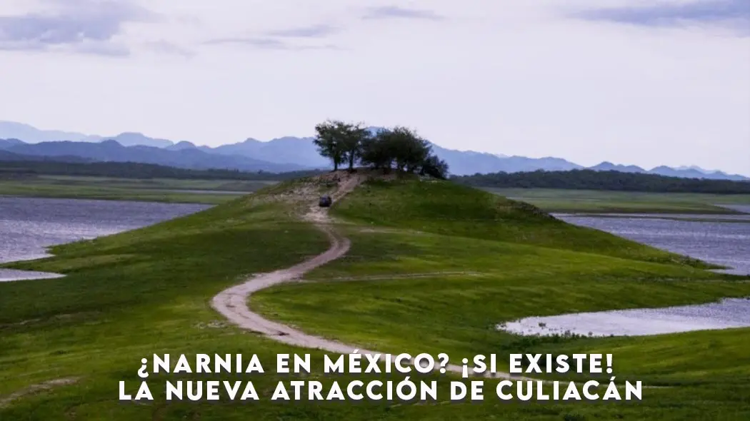 ¿Narnia en México? ¡Si existe! la nueva atracción de Culiacán