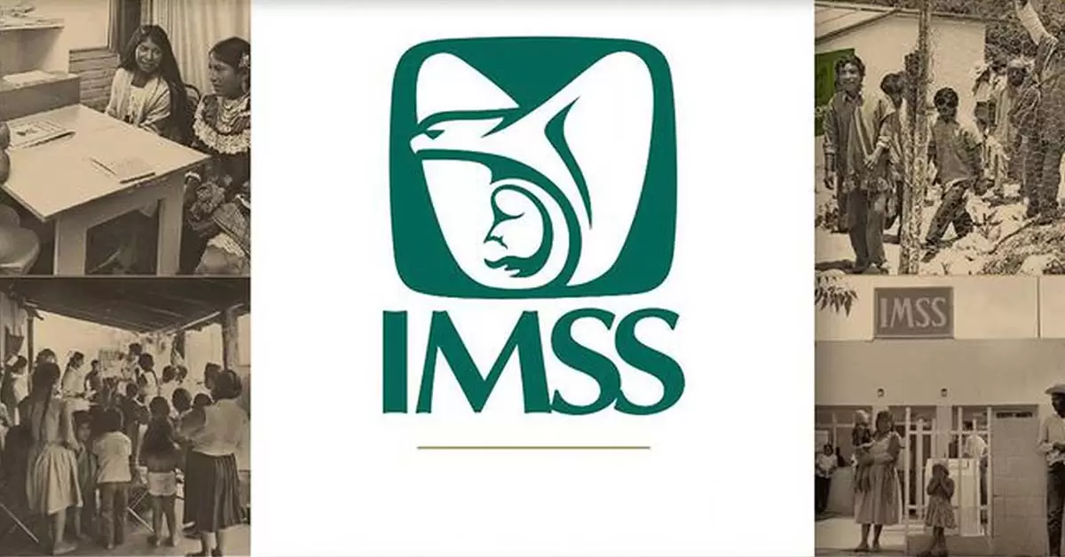 Ya están disponibles nuevos cursos de formación ofrecidos por el IMSS