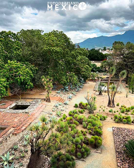 ¿Por qué es importante el Jardín Etnobotánico de Oaxaca?