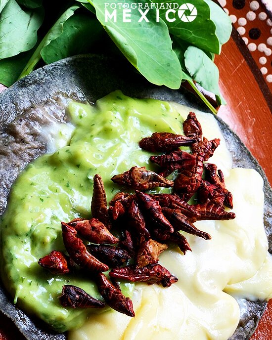 Los chapulines son unos insectos comestibles que se asan con ajo, limón y chile, y que son una fuente de proteína y minerales.
