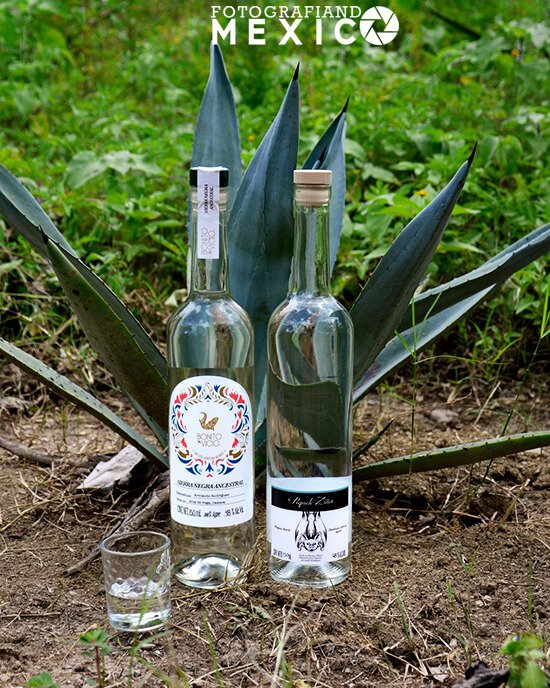 El mezcal es una bebida alcohólica que se obtiene de la destilación del agave y que tiene un sabor fuerte, ahumado y herbal.