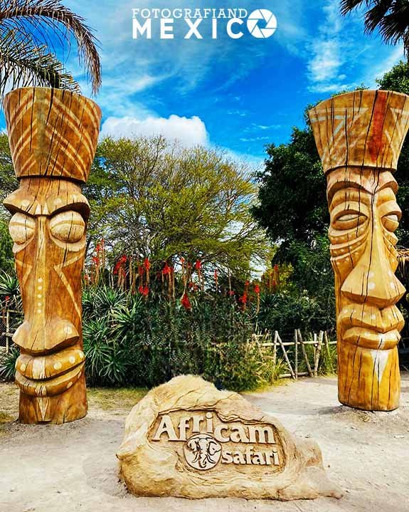 ¿Cuánto cuesta la entrada a Africam Safari?