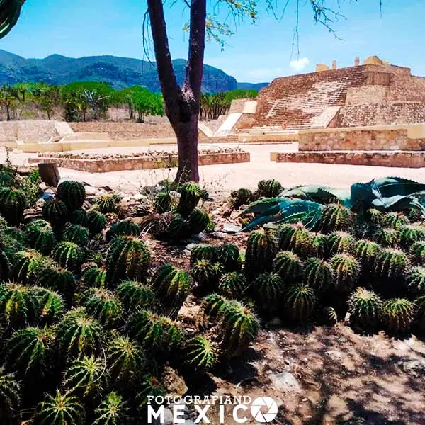 Tehuacán Viejo