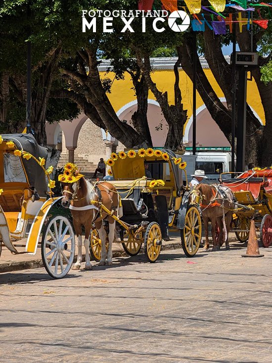 Calesa tradicional recorriendo las calles amarillas de Izamal Yucatán