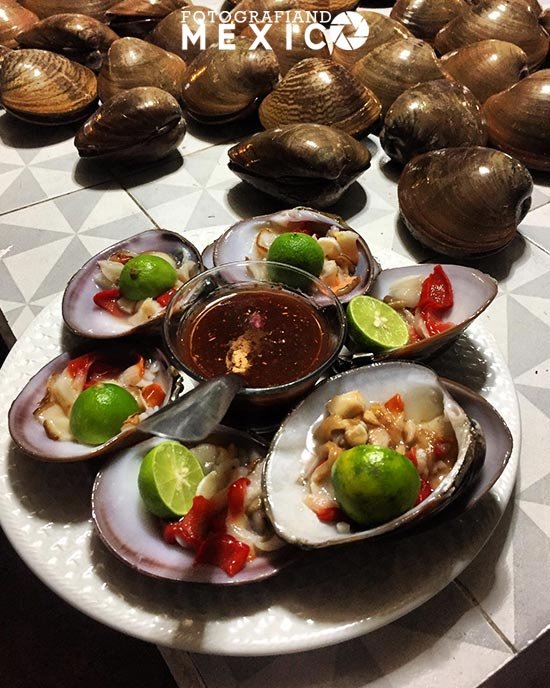 Almejas chocolatas, platos típicos que no puedes perderte en Todos Santos Almejas chocolatas: son unas almejas grandes y oscuras, que se encuentran en las playas de Todos Santos