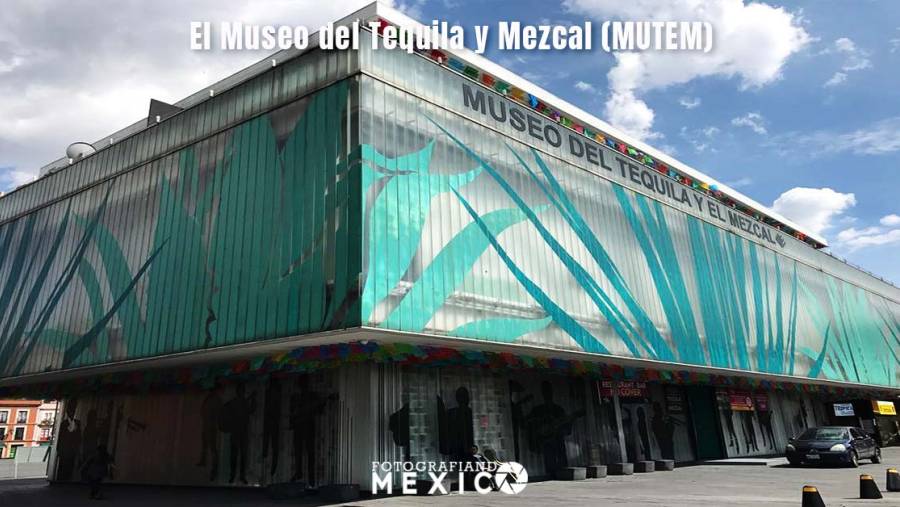 Museo del Tequila y Mezcal