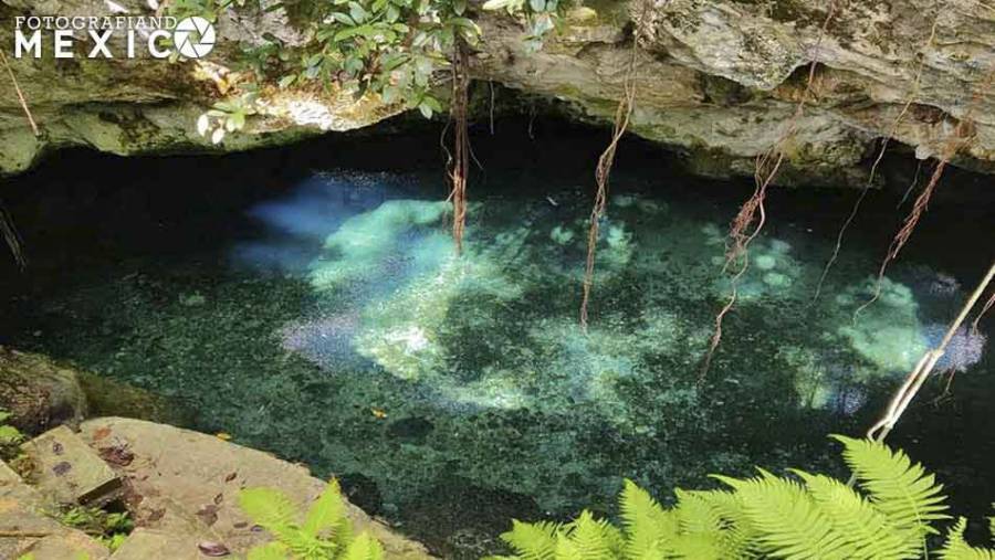 Cenote La Noria en Puerto Morelos, Guía de viaje, precios