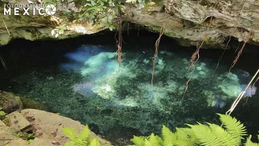 Cenote La Noria en Puerto Morelos