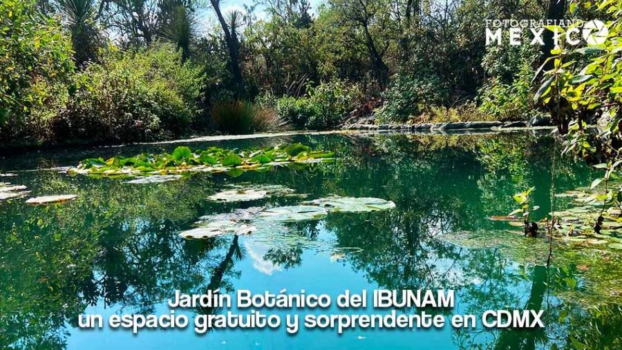 Jardín Botánico del IBUNAM