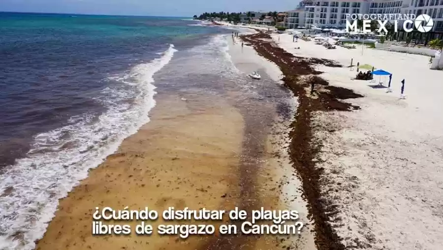 ¿Cuándo disfrutar de playas libres de sargazo en Cancún?