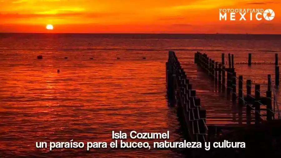 Isla Cozumel: un paraíso para el buceo, naturaleza y cultura