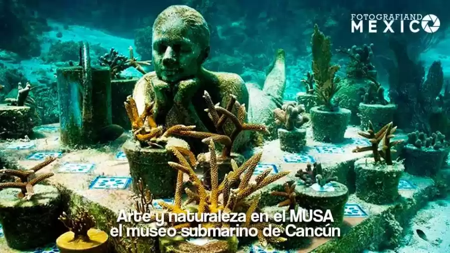 Arte y naturaleza en el MUSA, el museo submarino de Cancún