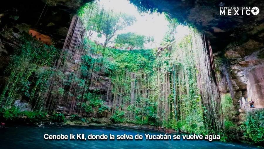 Cenote Ik Kil en Yucatán: Guía de Viaje, Costos y Ruta del Abismo Sagrado