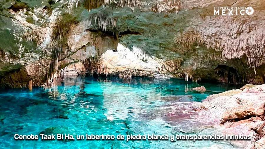 Cenote Taak Bi Ha en Tulum: Guía de Viaje, Precios y Secretos de la Cueva