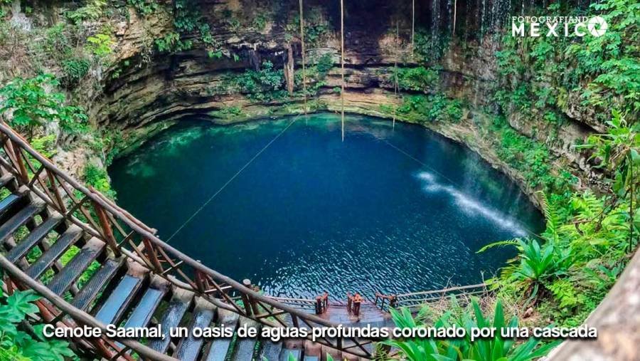 Cenote Saamal en Valladolid: Guía de Viaje, Precios y Hacienda Selva Maya