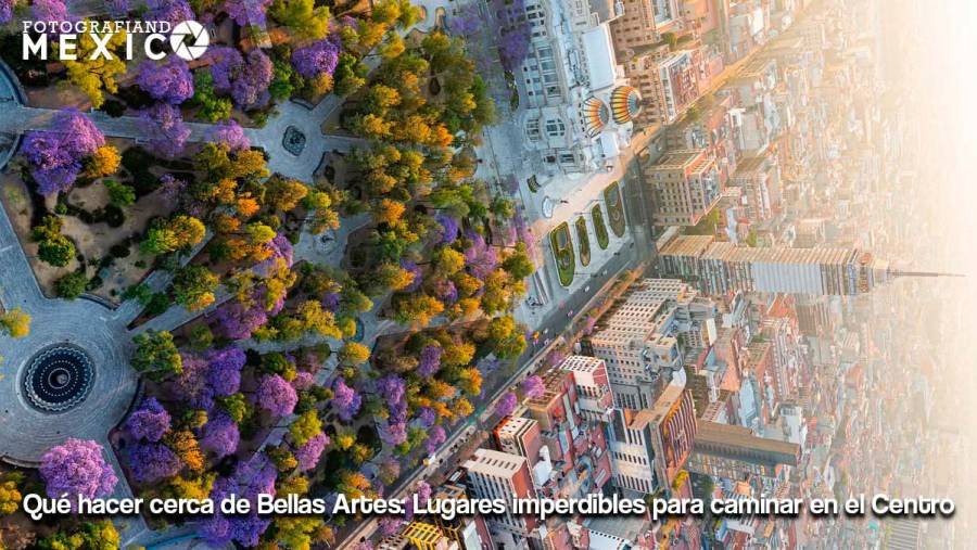 Qué hacer cerca de Bellas Artes: Lugares imperdibles para caminar en el Centro