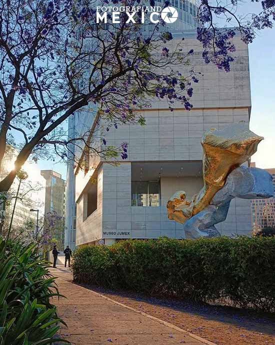 Qué hacer en el centro de la CDMX con amigos