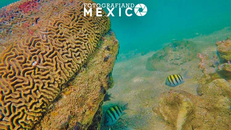 ¿Dónde está Cancuncito Veracruz?